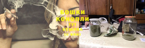 трава Ладушкин