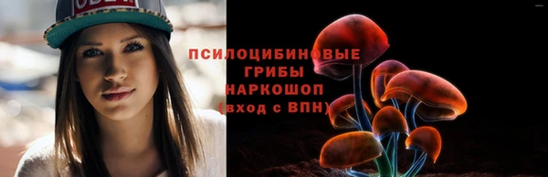 молекула духа Лабытнанги