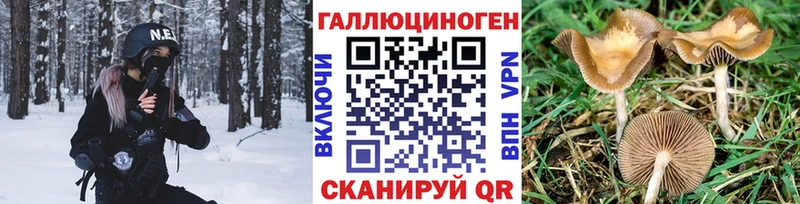 магазин продажи   Железногорск-Илимский  сайты даркнета Telegram  Галлюциногенные грибы Psilocybine cubensis 